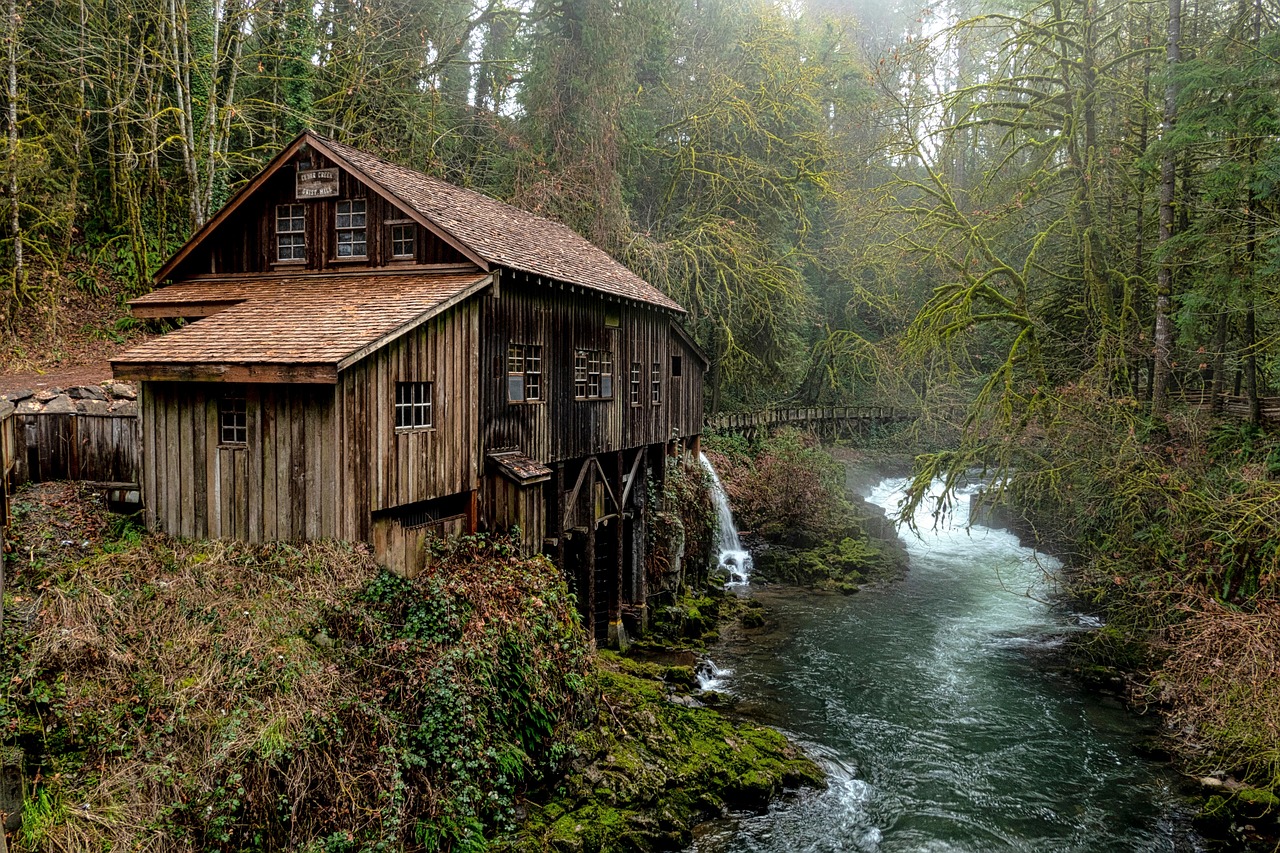 house, rural, countryside, nature, forest, rivers, outdoors